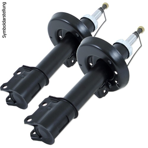 Stoßdämpfer gasdruck - 2x,