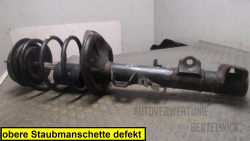 Federbein vorn links - vorn,